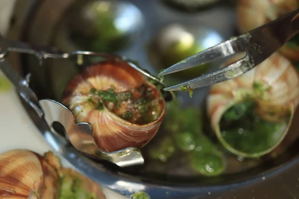 Escargots de Bourgogne — Fotografia de Stock