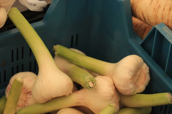Fresh garlic on a market — Stock Photo, Image