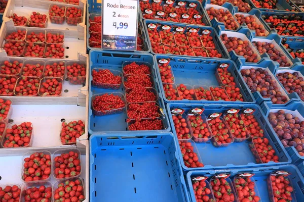 Assen, Hollanda, 27 Temmuz 2019: Çilek pazar tezgahında