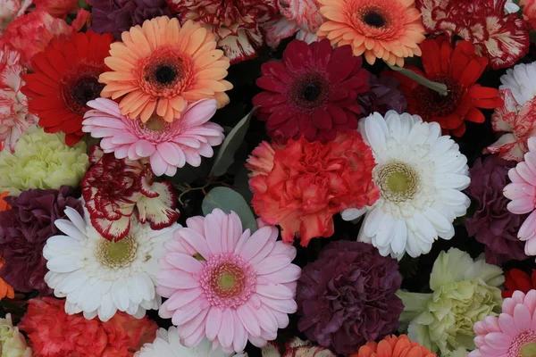 Colorful gerber bouquet — Stock Photo, Image