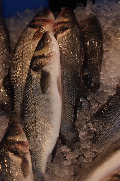 Pescado fresco en un mercado de pescado — Foto de Stock