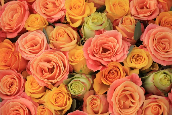 Rosas amarelas e laranja — Fotografia de Stock