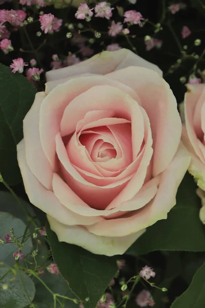 Rosas de casamento rosa — Fotografia de Stock