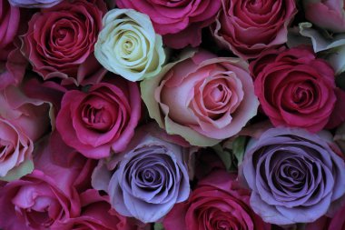  pembe ve mor karışık düğün gül