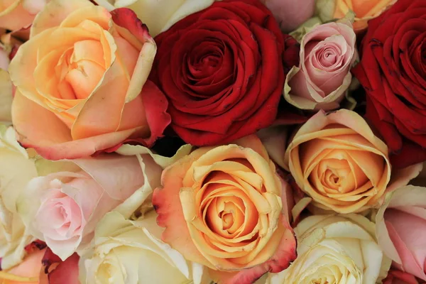 Mixed pink roses — Stock Photo, Image