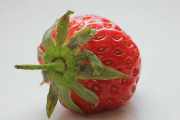 Große einzelne Erdbeere — Stockfoto