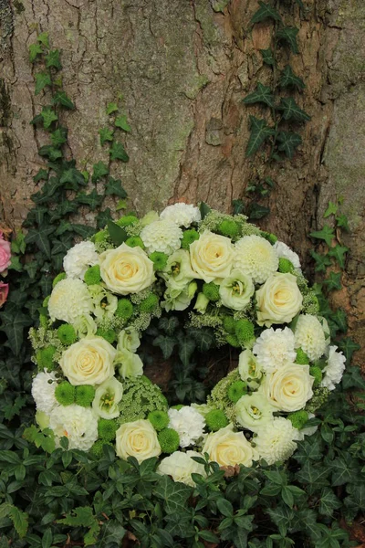 Corona blanca de simpatía cerca de un árbol — Foto de Stock