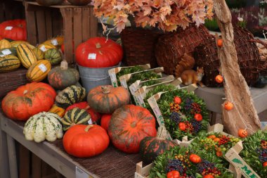 Velserbroek, Hollanda, 17 Ekim 2018: sonbahar süslemeleri