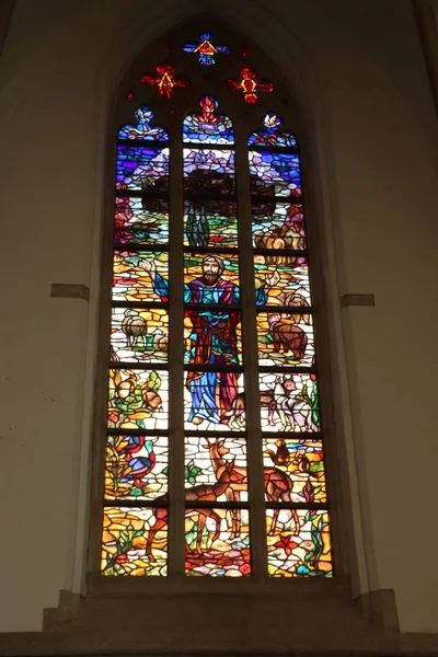 Haarlem, 6 oktober 2018: Glas in lood in de kerk van St Bavo — Stockfoto