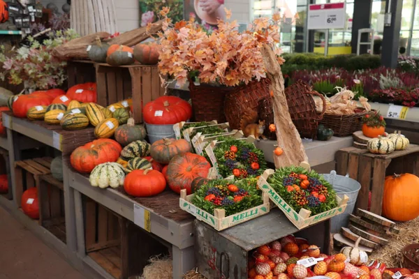 Velserbroek, Pays-Bas, 17 octobre 2018 : décorations d'automne — Photo