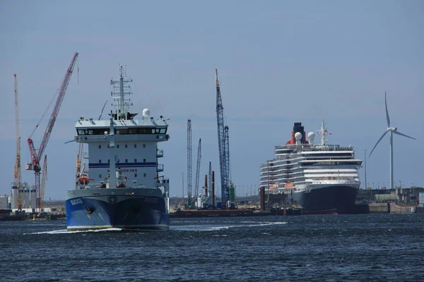 IJmuiden, Nederland - juni 5e 2017: Koningin Victoria, Cunard — Stockfoto