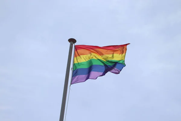 Gay pride rainbow flag