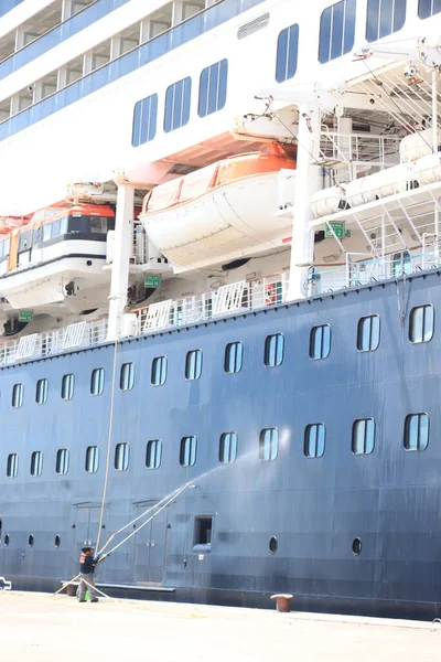 Ijmuiden Juni 2020 Zaandam Geëxploiteerd Door Holland America Line Foerageert — Stockfoto