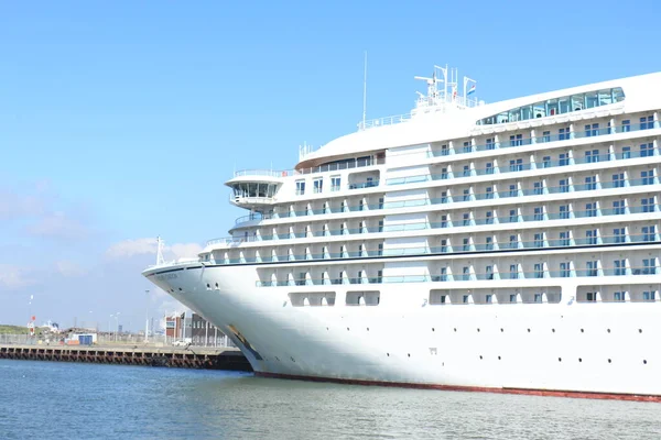 Ijmuiden Juli 2020 Zeebaarsoven Aangemeerd Bij Felison Terminal Voor Foerageren — Stockfoto