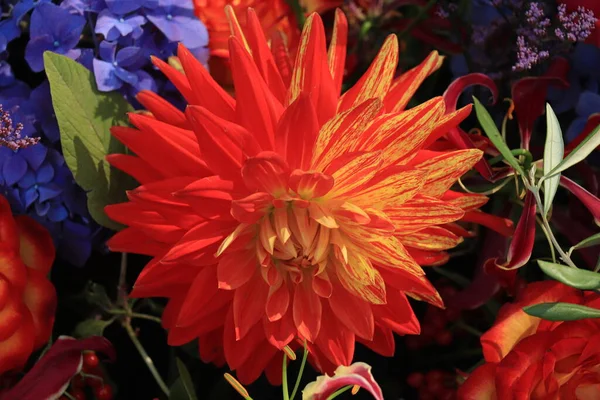 Μεγάλη Πορτοκαλί Ντάλια Φθινοπωρινή Σύνθεση Λουλουδιών Γάμου Φωτεινά Χρώματα — Φωτογραφία Αρχείου