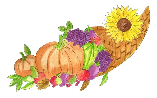 Harvest cornucopia. Pumpkins, grapes and other fruits. Hand drawn watercolor illustration