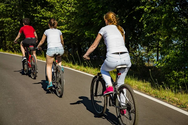 Achteraanzicht Van Gelukkige Familie Paardrijden Fietsen Samen Platteland — Stockfoto