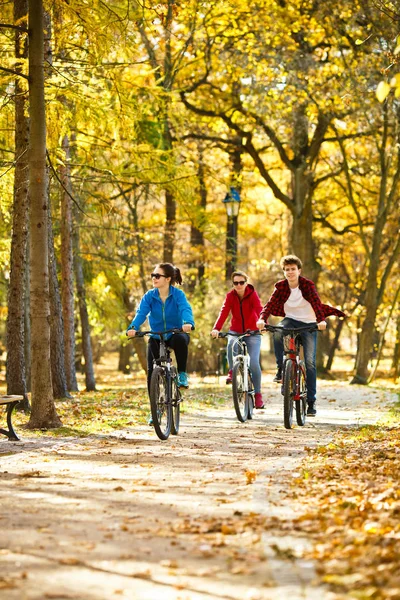 Bicicletas Familiares Parque Otoñal Concepto Deporte Ocio —  Fotos de Stock