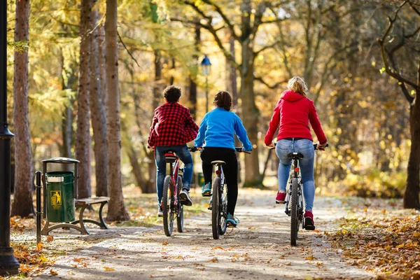 Aan Achterkant Uitzicht Familie Paardrijden Fietsen Samen Herfst Park Sport — Stockfoto