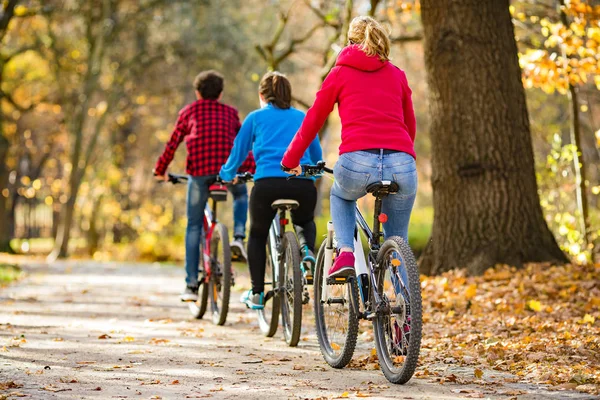 在秋天公园的家庭骑自行车的后方看法 体育和休闲概念 — 图库照片