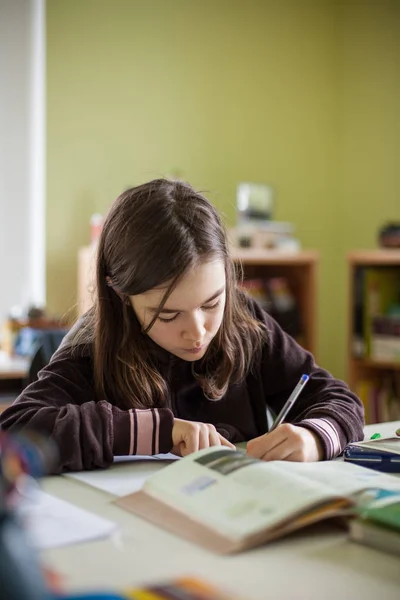 Menina fazendo lição de casa — Fotografia de Stock