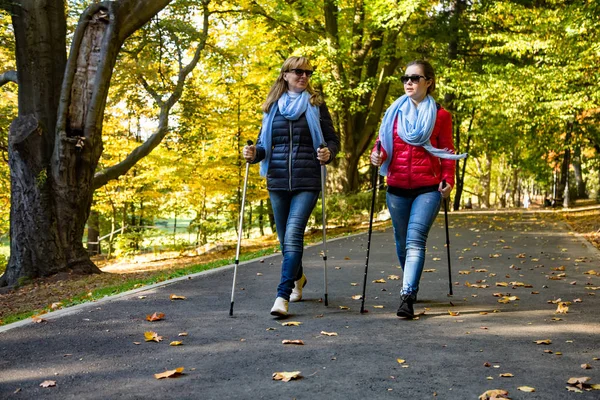 Femmes Jeunes Adultes Marchant Avec Des Bâtons Touristiques Dans Parc — Photo