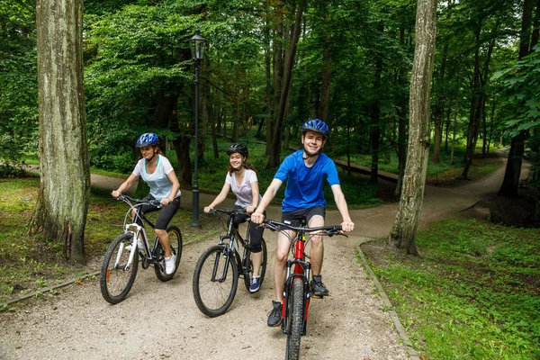 夏季在公园骑自行车的家庭 — 图库照片