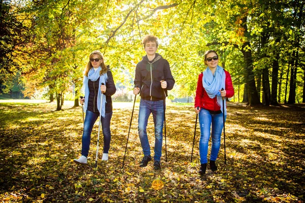 Família Alegre Caminhando Juntos Parque Outonal Com Paus Turísticos — Fotografia de Stock