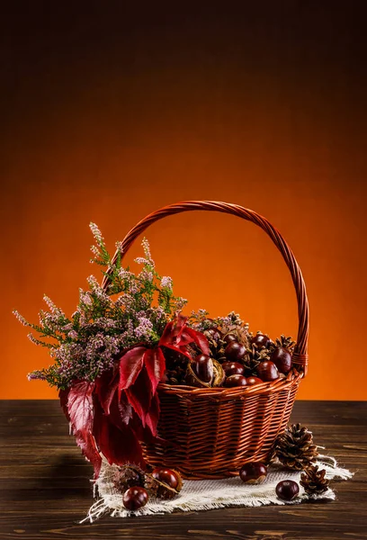 Wicker Basket Full Chestnuts Flowers Leaves Bright Gradient Background — Stock Photo, Image