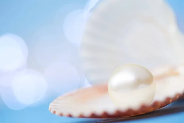 Perle în coajă deschisă — Fotografie, imagine de stoc