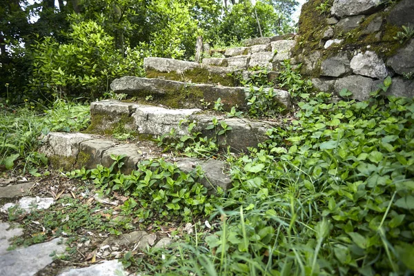 güneşli bir gün, bahçede eski taş merdivenle