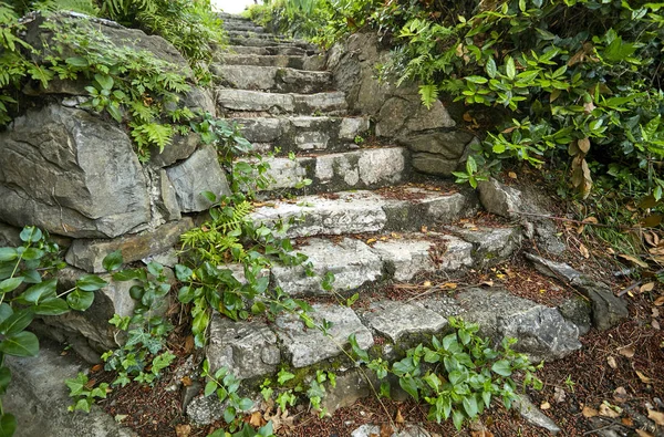 old stone stairs in forest at sunny day