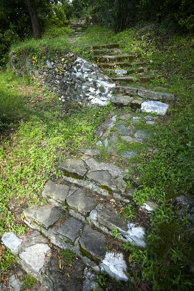 güneşli bir gün, ormanda eski taş merdivenle