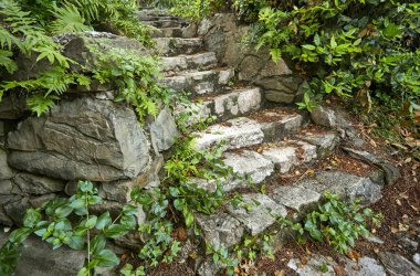 güneşli bir gün, ormanda eski taş merdivenle