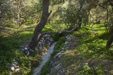 Güneşli bir gün, Karadağ Milli Parkı