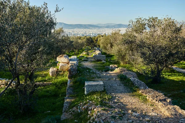 Parco Nazionale Montenegro Nella Giornata Sole — Foto Stock