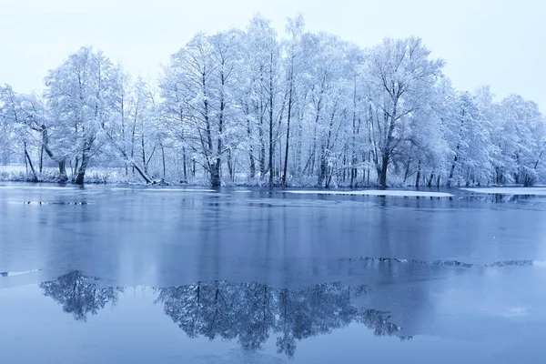 Красивий Зимовий Парк Сніговим Покриттям Дерев — стокове фото