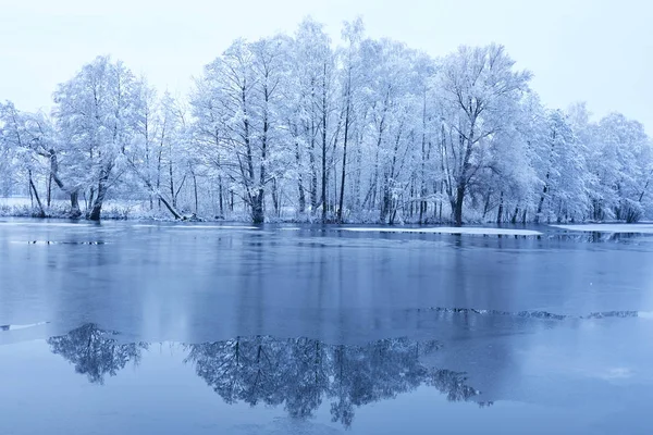 美丽的冬季公园与雪覆盖树木 — 图库照片