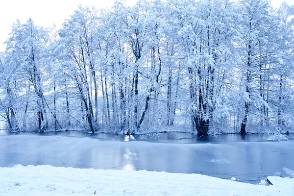 美丽的冬季公园与雪覆盖树木 — 图库照片