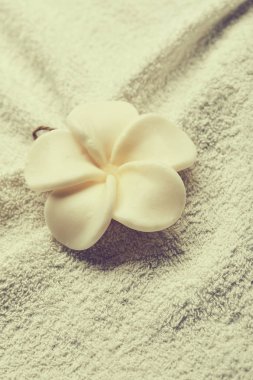 Beyaz saf havluda, spa konsept çiçek