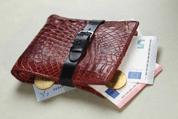 Leather Wallet Euro Banknotes Light Background — Stock Photo, Image