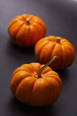 küçük turuncu kabak