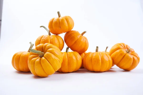 Citrouilles Fraîches Isolées Sur Fond Blanc Gros Plan — Photo