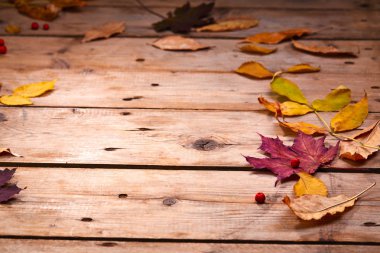 Ahşap arka plan üzerinde kuru sonbahar yaprakları