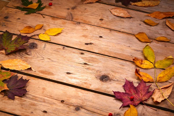 Dry Autumn Leaves Wooden Background — Stock Photo, Image