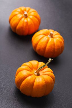 Taze kabak koyu arka plan üzerinde yakın çekim 