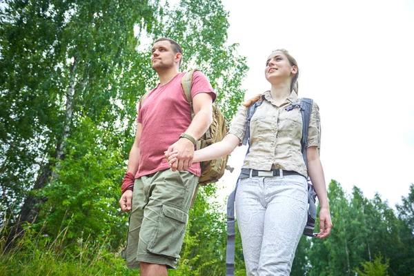 ormanda yürüyüş güneşli gün iki gezginler 