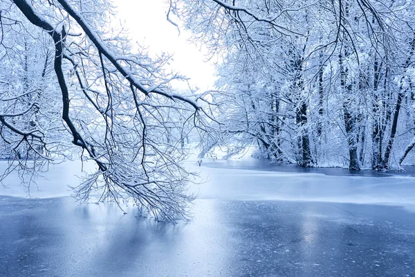 美丽的冬天公园与结冰的湖 — 图库照片