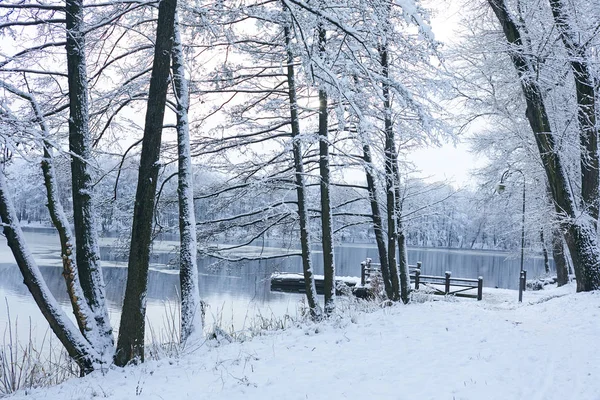 Belo Parque Inverno Com Lago Gelado — Fotografia de Stock