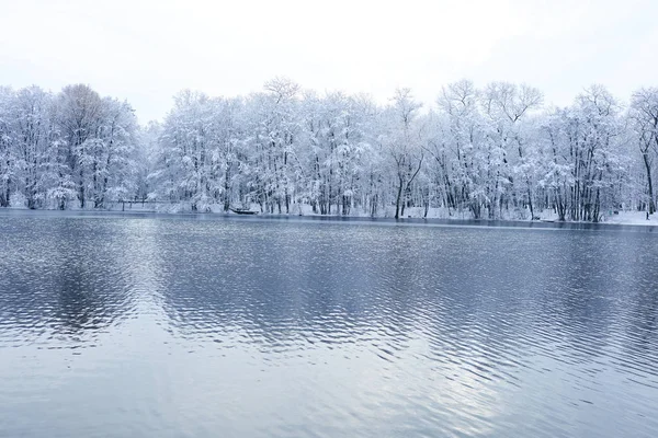 アイス湖と美しい冬の公園 — ストック写真